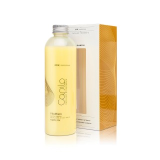 Shampoo Vitalikum #04 250ml Eva Professional Hair Care